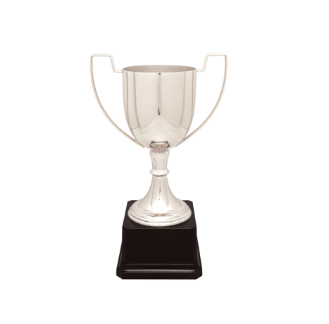 Custom Completed Cup Trophy on Base