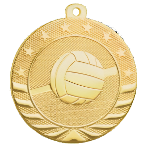 2" Starbrite Volleyball Medal with Neck Ribbon