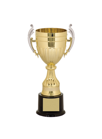 Custom Gold/Silver Completed Cup Trophy