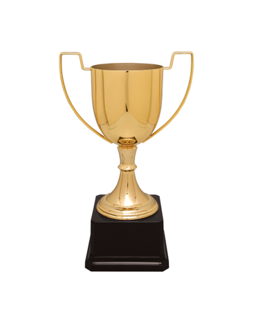 Custom Completed Cup Trophy on Base